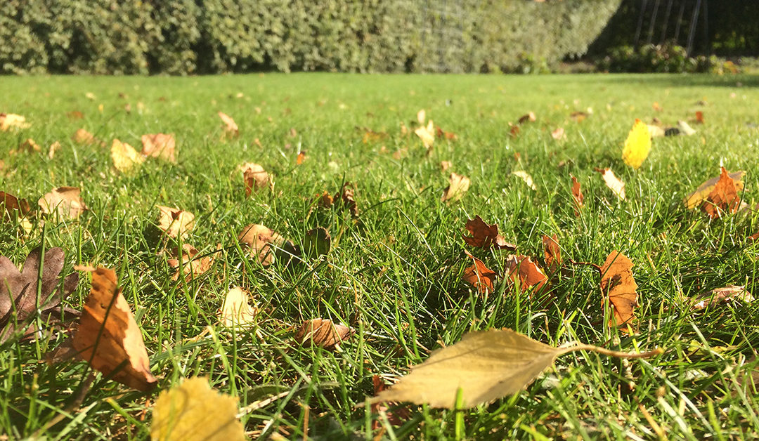 Haven i oktober