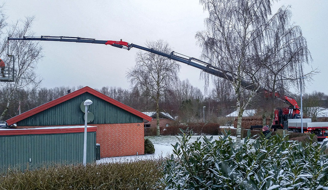 Vi fælder træer og rydder op!